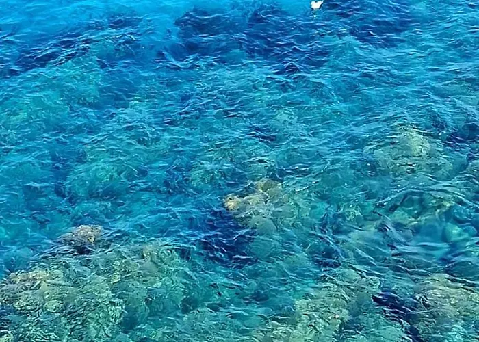 Palazzo Cettina Sul Mare *